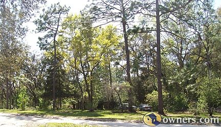 Front Yard (taken from R. side)