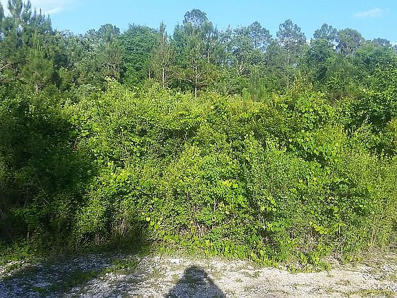 4th image of 8426 Woodleigh Rd