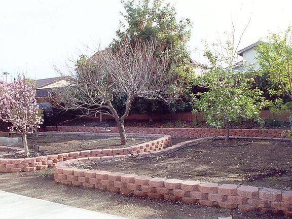 Backyard Beyond Patio