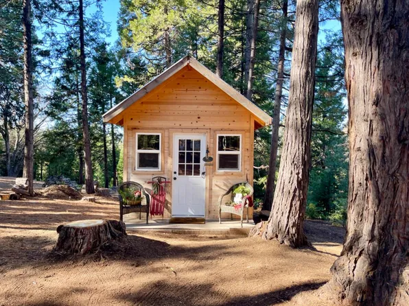 20461 South Ct, Pioneer, CA 95666