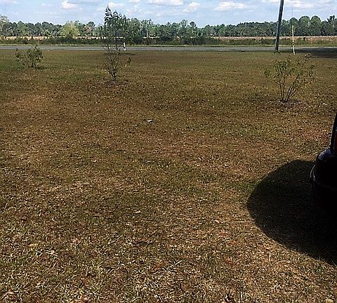 part of the front yard