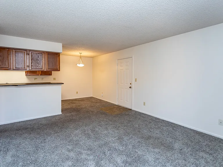 Palmetto Club Apartments — Photo 8