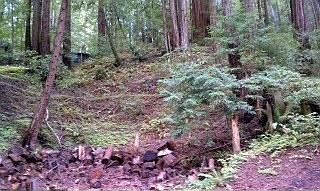 2nd image of 110 Dearborn Park Rd