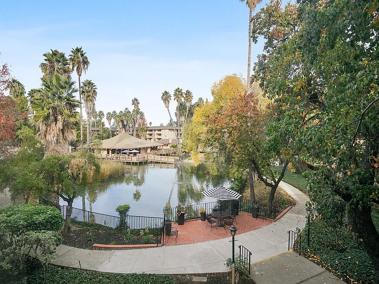 Palm Lake — Photo 6