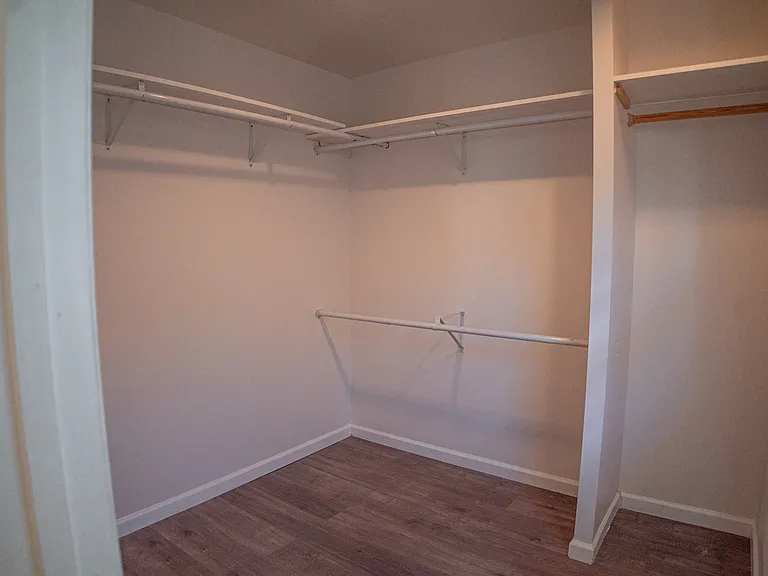 downstairs bedroom walkin closet
