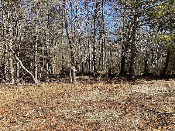 4th image of 0 Coleman Ave
