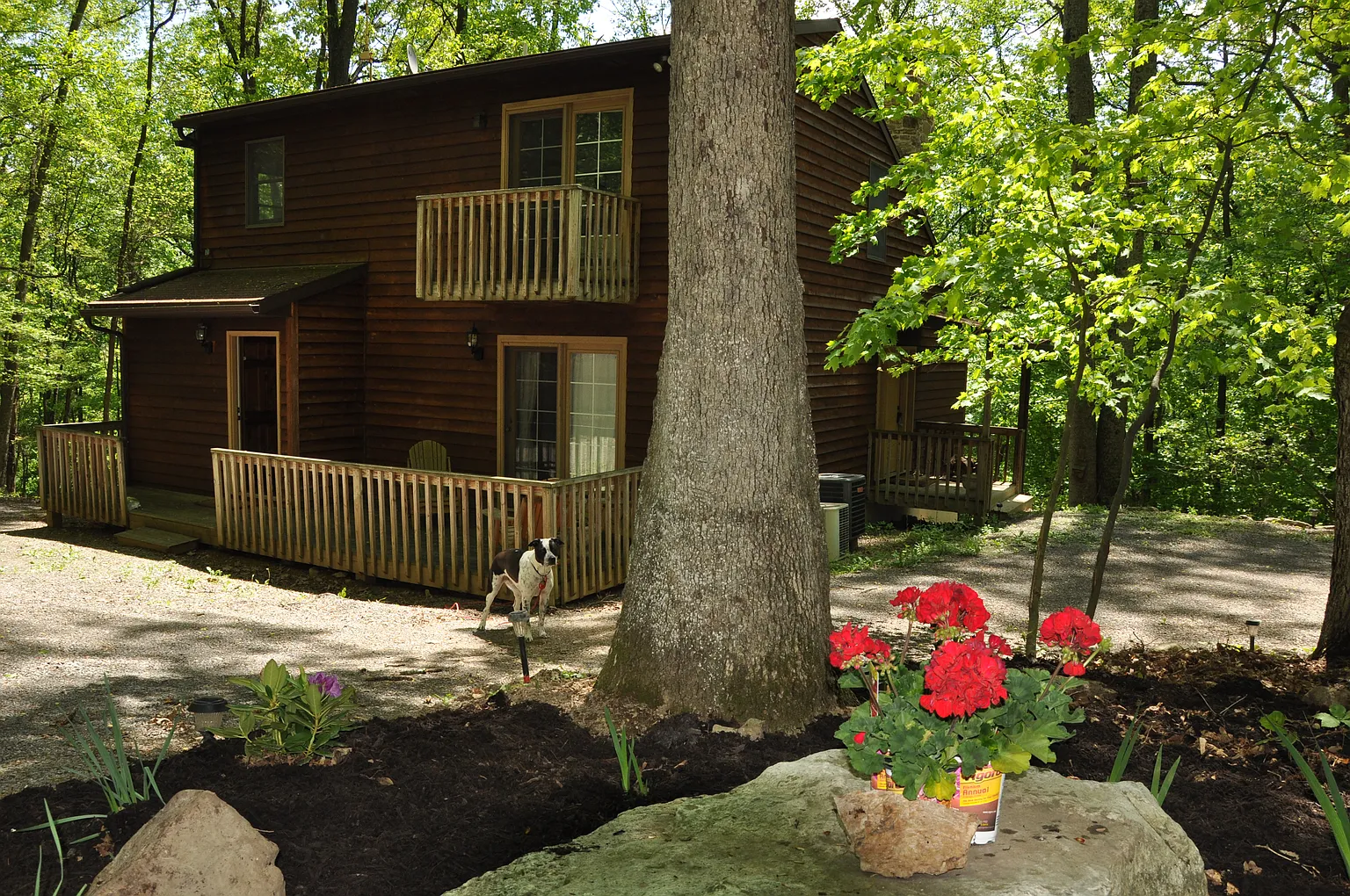 605 Mountainside Rd photo 1