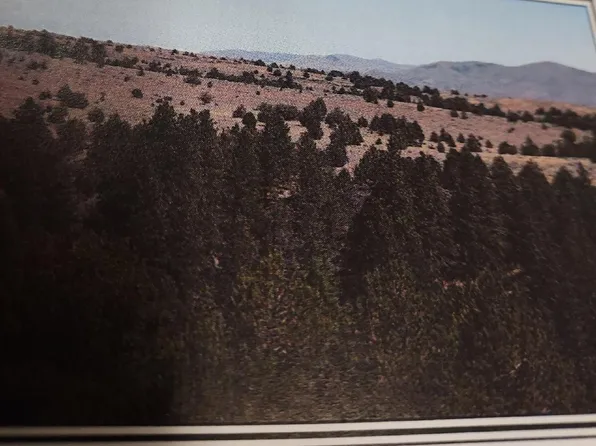 6923 Grouse Creek Rd, Ironside, OR 97908