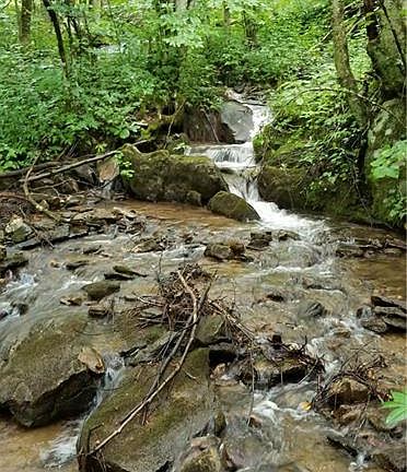 3rd image of 41 04 Ac Off Martins Creek Rd
