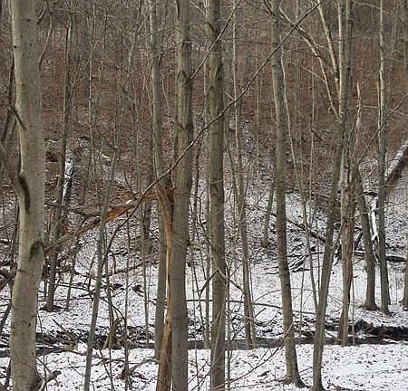 3rd image of 354 Edelweiss Ln