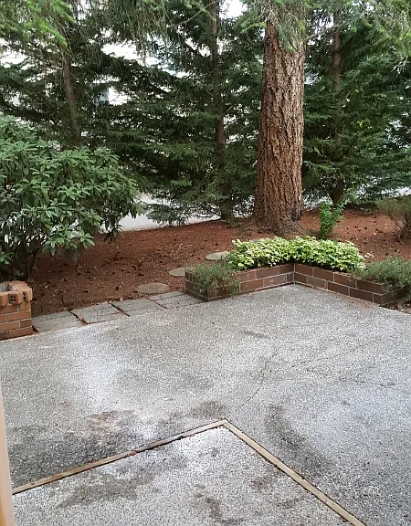 1461 Rainier Ct #2 — Photo 5