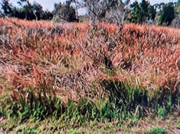 JAYLENE ROAD LOT 2, NORTH PORT, FL 34288