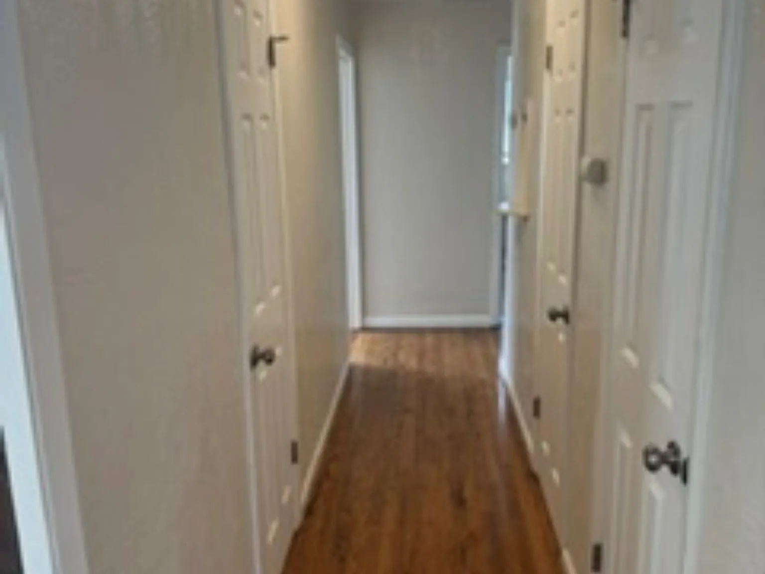 3 bed, 1.5 bath, 1350 sqft, $3,800 — Photo 4