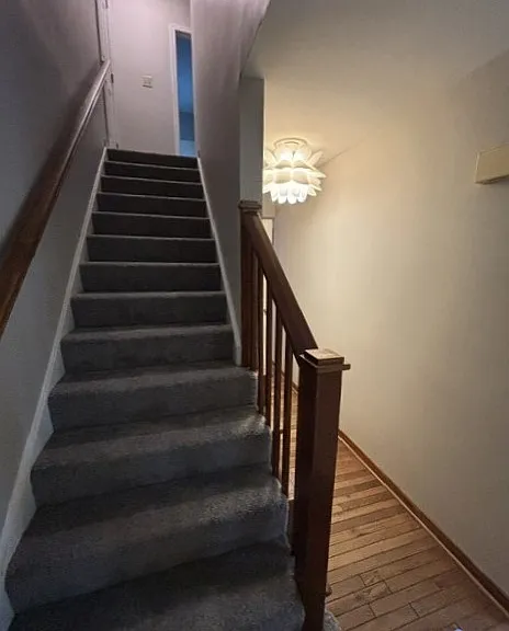 14604 Mill Spring Dr — Photo 16