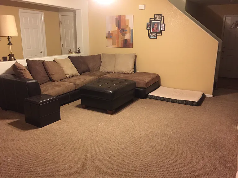 1894 Dove Creek Cir — Photo 33