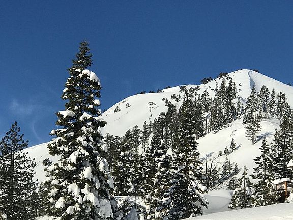 2nd image of 1434 Juniper Mountain Rd