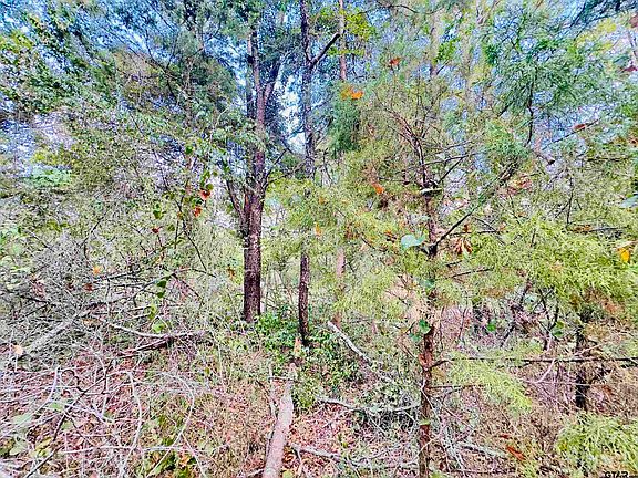 5th image of 0 Apple Tree Rd