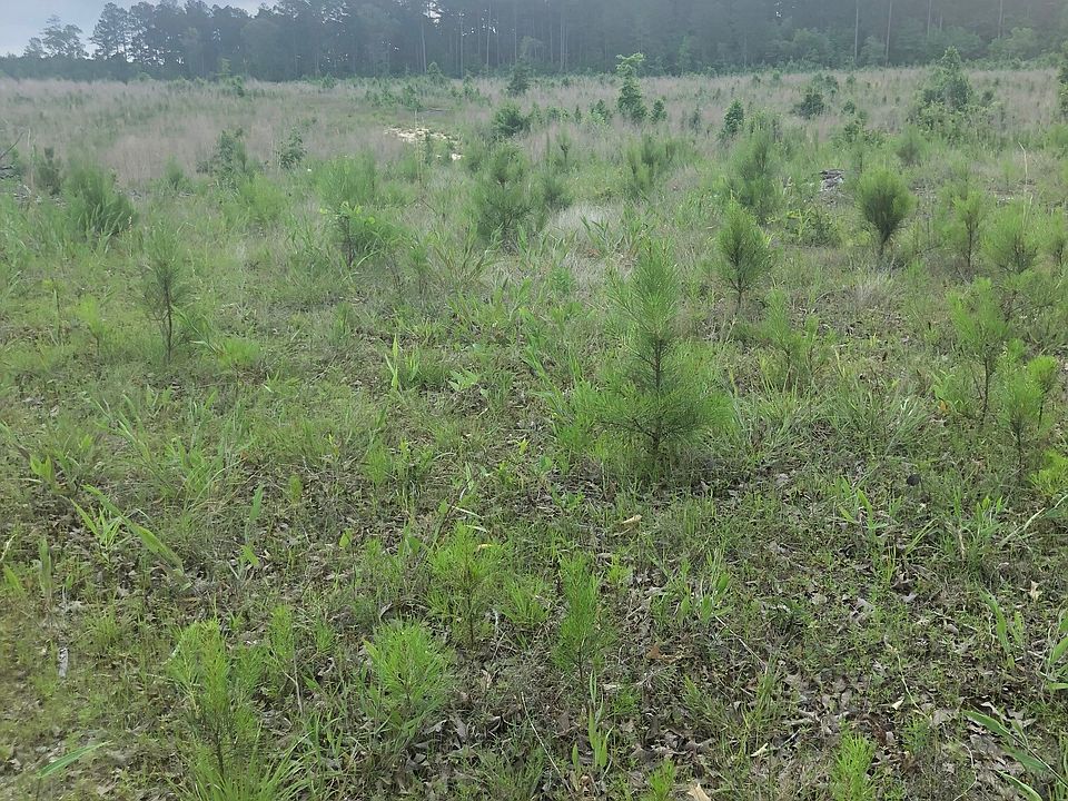 2nd image of 1677 Shuler Rd