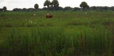 2nd image of 18932 NW 246th St