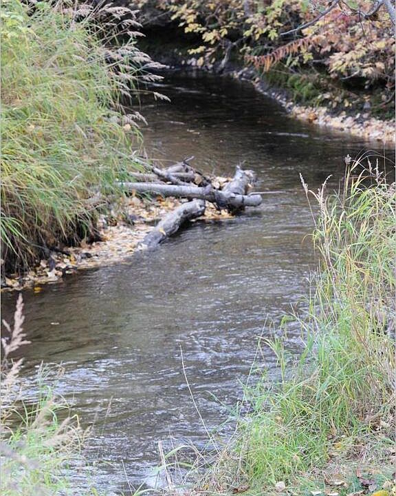 2nd image of L5-B6 E Riparian Loop