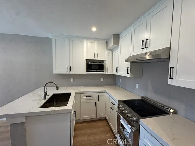 2 bed, 600 sqft, $1,900 — Photo 3