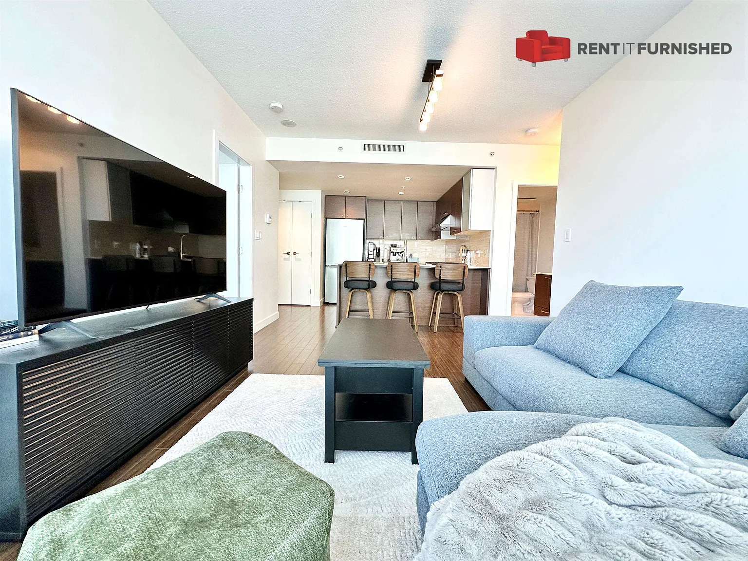2 bed, 732 sqft, $2,995 — Photo 1