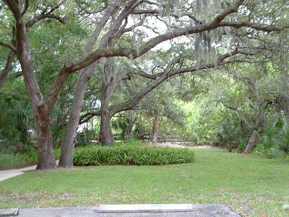 Side yard