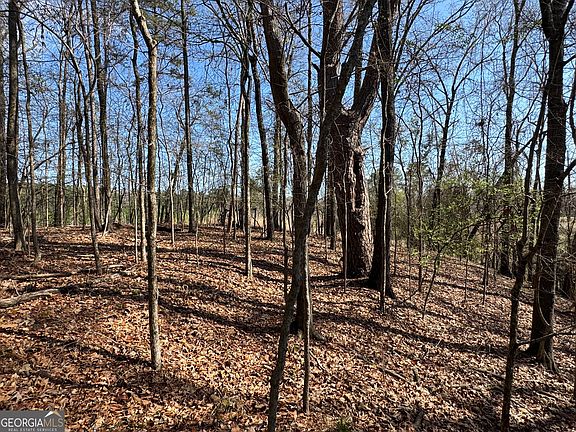 5th image of 1978 Wood Valley Rd