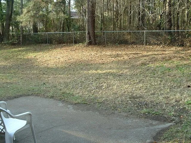 Rear Yard