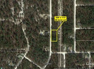 15486 Scaup Duck Ave, Weeki Wachee, FL 34614