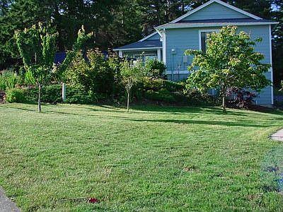 Large yard w/trees