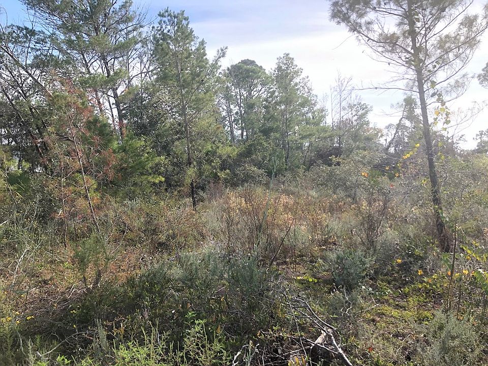 2nd image of 108 Gulf Terrace Ln #1