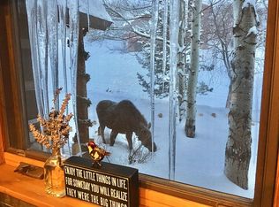 336 Blackberry Ln, Steamboat Springs, CO 80487