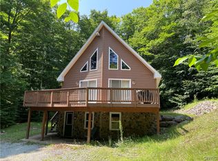 685 Hollywood Rd, Old Forge, NY 13420