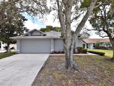 12826 Lower River Blvd, Orlando, FL, 32828