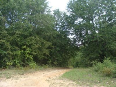 4845 McCombs Rd, Hephzibah, GA, 30815