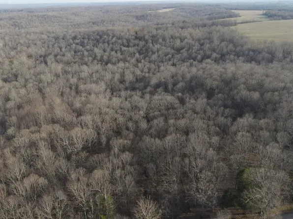 0 Powell Rd, White Plains, KY 42464