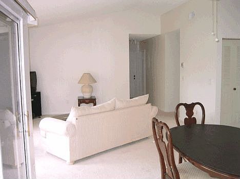 Dining / Living Room