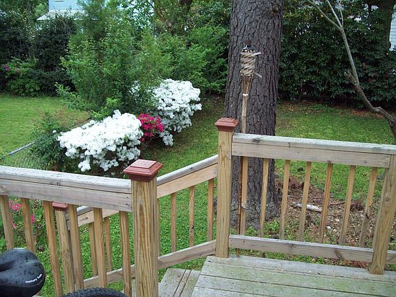 Rear Fenced Yard