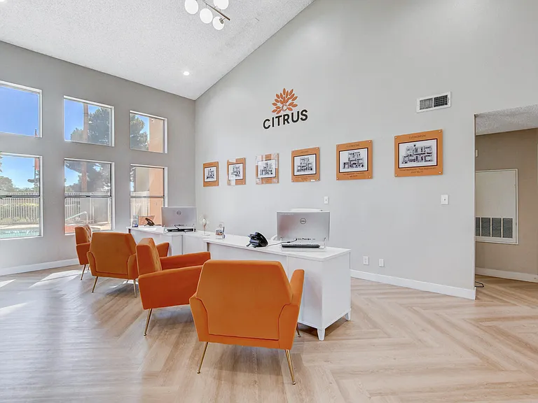 Citrus Apartments — Photo 35