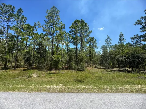 SE 105th Ln Lot 20, Dunnellon, FL 34431