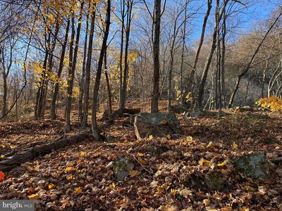 Wilkes Street Extended, Berkeley Springs, WV, 25411