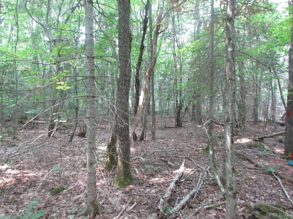 West St, Michigamme, MI 49861