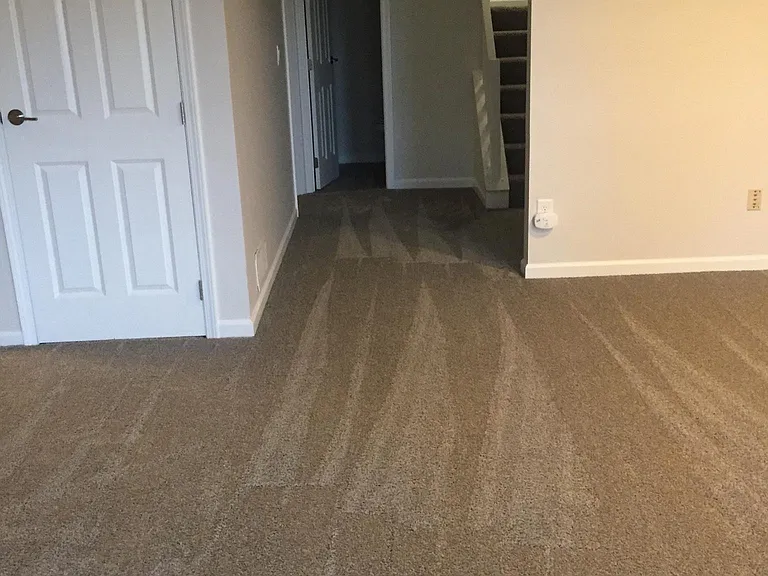 Complete lower level remodel
