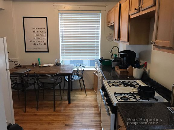 3rd image of 1507 N Hoyne Ave APT 3W