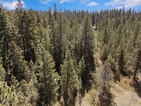 5th image of 31009 Canyon View Pl