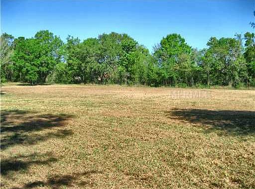 5th image of 7916 Lady Lake Ln