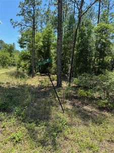 (Undisclosed Address), Ocala, FL, 34481