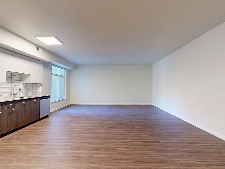 Apartment living room with wood-style flooring.