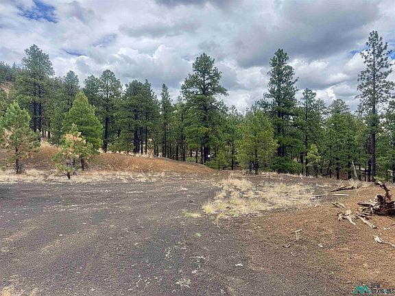 2nd image of Oso Ridge Lookout Rd